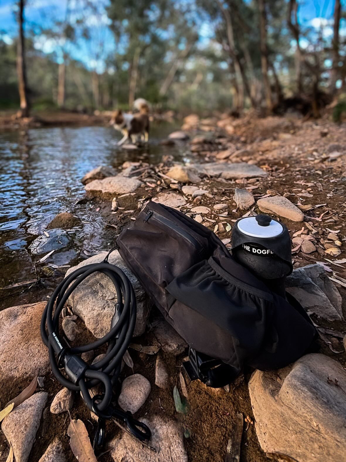 The Double Clip Leash and Adventure Pouch resting on rocks beside a creek with a Sipper bottle