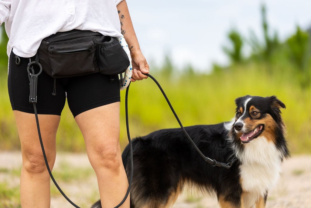 A woman walking her Australian Shepherd on the Double Clip Leash, with the Adventure Pouch at her waist