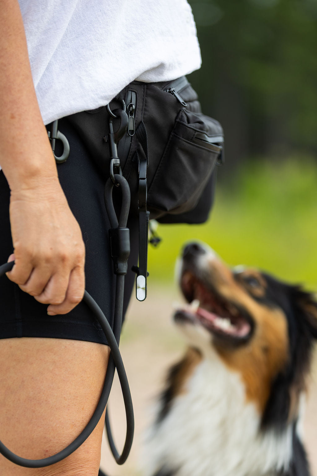 The Double Clip Leash