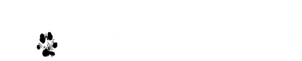 The Dogfluence