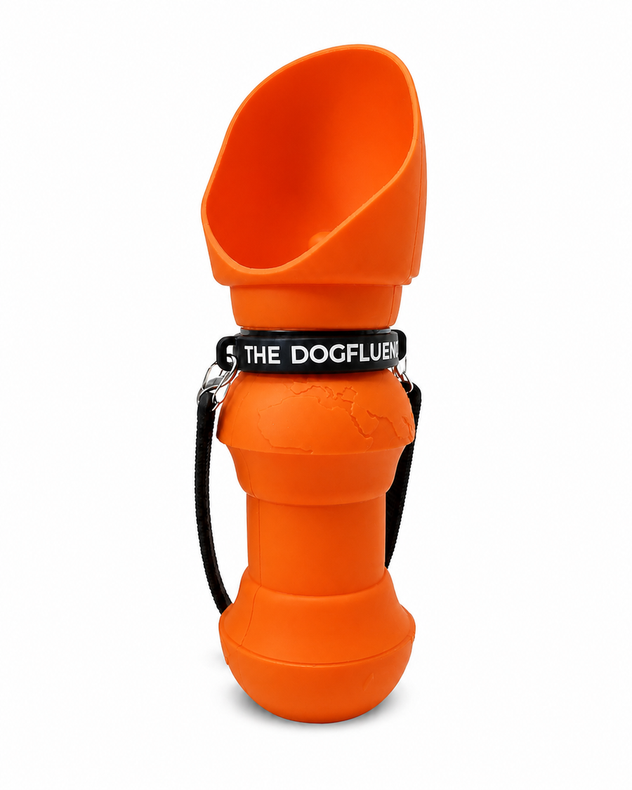 The Sipper in Orange